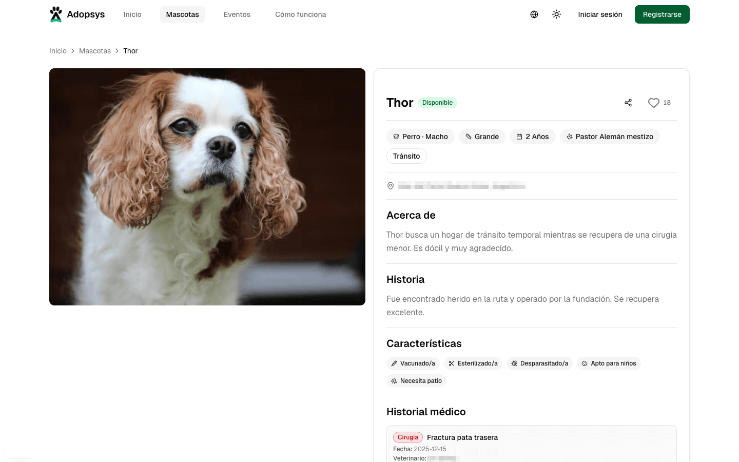 Perfil detallado de una mascota
