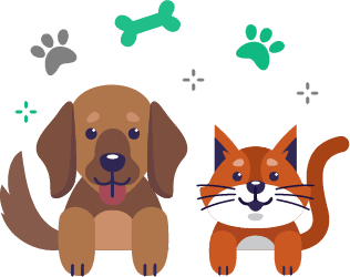 Adopción formal y segura