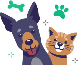 Dashboard completo para cada rol