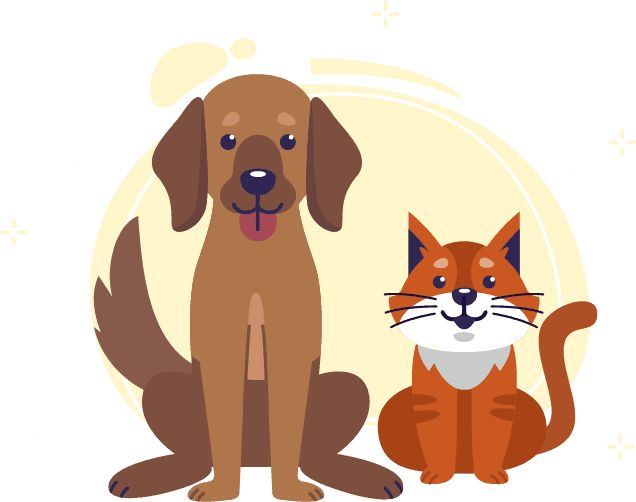 Encuentra a tu compañero ideal