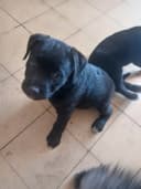 Mauricio Rodriguez  - 2