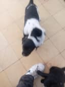 Mauricio Rodriguez  - 3